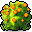 Orange Anthurium