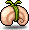 Snail Meat