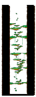 Dungeon, Southern Forest II