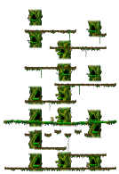 The Forest of Wisdom