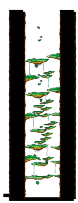 Tree Dungeon, Monkey Forest I