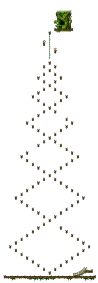 The Forest of Patience <Step 1>
