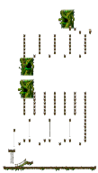 The Forest of Patience <Step 3>