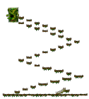 The Forest of Patience <Step 4>