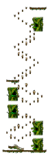 The Forest of Patience <Step 5>