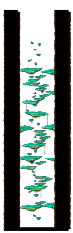Tree Dungeon, Forest Up North I