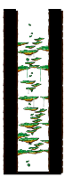 Tree Dungeon, Forest Up North V