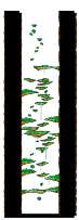 Tree Dungeon, Forest Up North VII