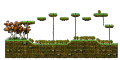 Tomato Field