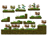 L Forest II