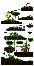 Swampy Land in a Deep Forest