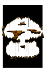The Grave of Mushmom