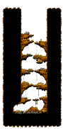 The Cave of Evil Eye II
