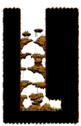 The Cave of Evil Eye IV