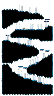 Another Path