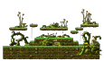 Deep Inside Mushroom Forest