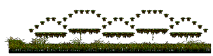 Swamp of the Jr.Necki