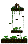 Damp Forest