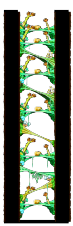 Magician's Tree Dungeon