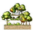 Tiv's Forest