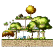 Tiru's Forest