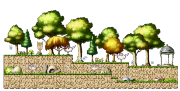 Forest of Beginning 1