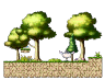Forest of Beginning 2