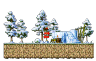 Dangerous Forest