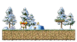 Cold Forest 4