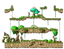 Forest : Crossroad