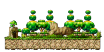Manon's Forest