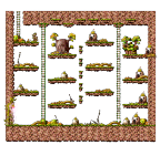 The Hidden Dragon Tomb II