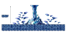 Entrance to Horntail's Cave