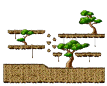 Sky Forest : The Train