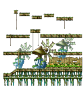 60-Year-Old Herb Garden