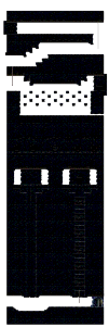 The Unknown Underground Passage