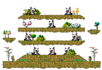 Jungle Clearing