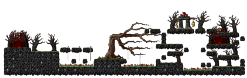 Swamp Bog