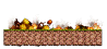 Burning Forest 3