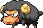 Mr. Black Sheep