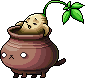 Lord Pirate's Ginseng Jar