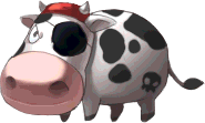 Baby Milk Cow