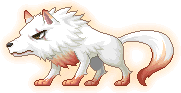 Head Wolf