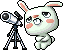 Baby Moon Bunny